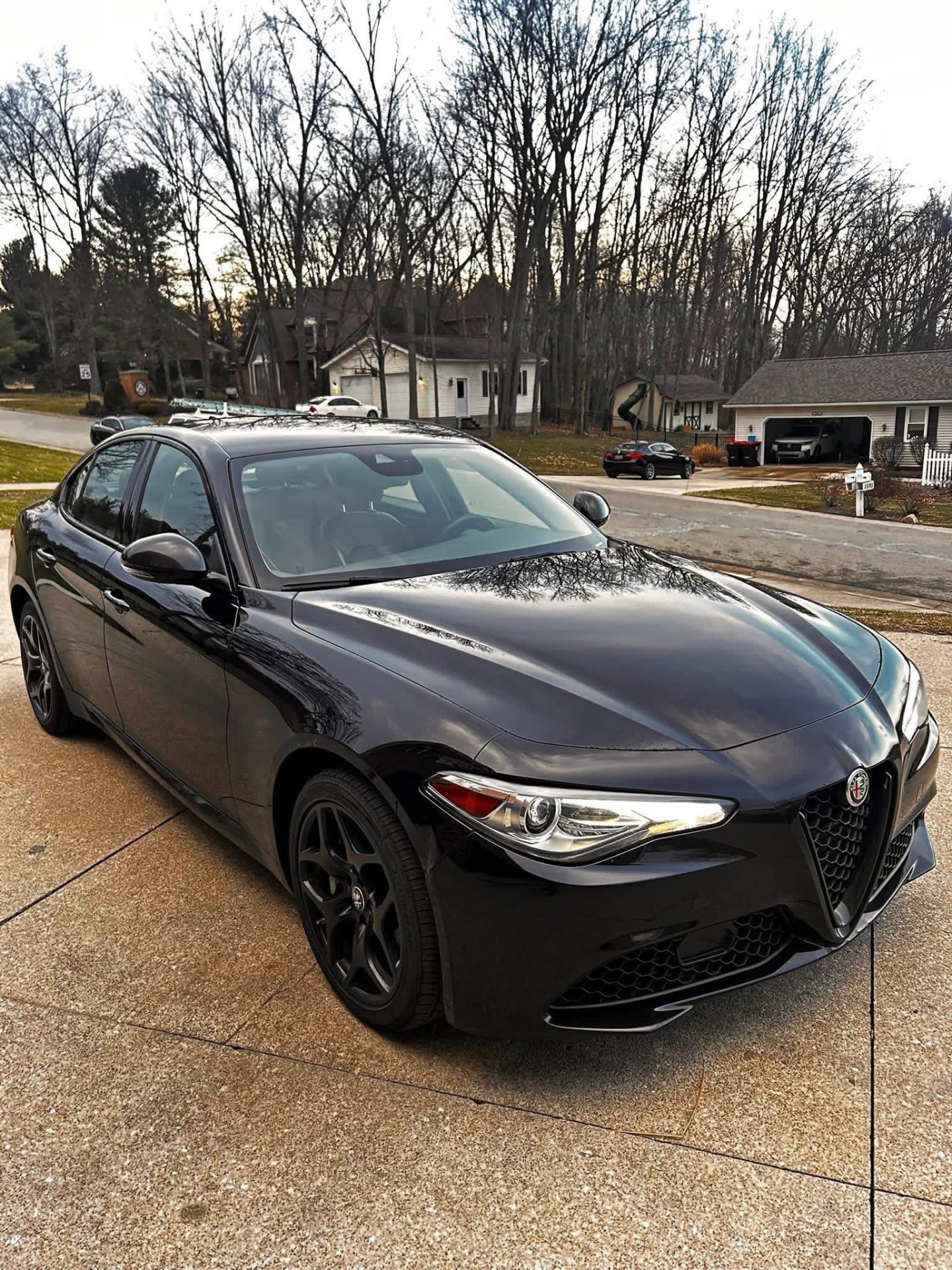 Black Alfa Romeo Giulia exterior detail